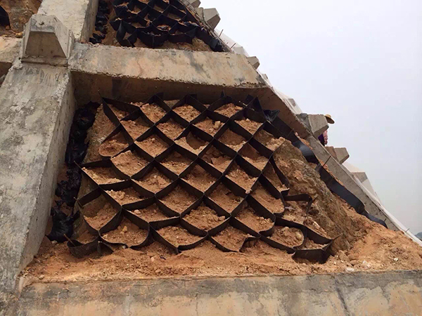 蜂巢格室廠家推薦山東萬旭工程材料